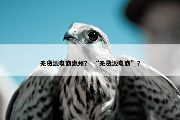 无货源电商惠州？ “无货源电商”？