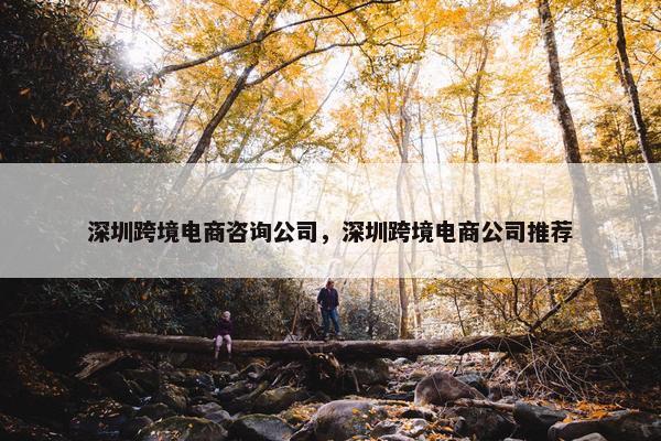 深圳跨境电商咨询公司，深圳跨境电商公司推荐