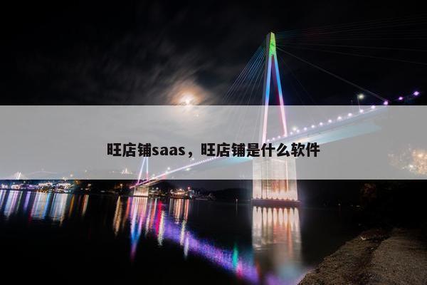 旺店铺saas，旺店铺是什么软件