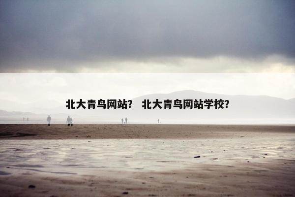 北大青鸟网站？ 北大青鸟网站学校？