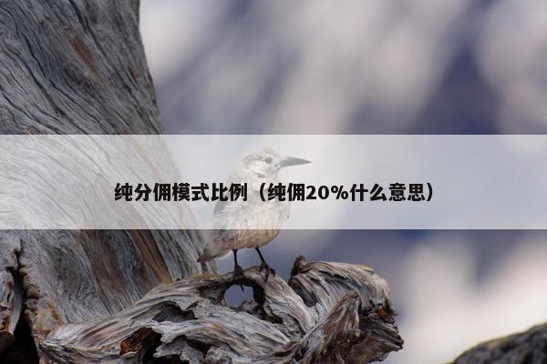 纯分佣模式比例（纯佣20%什么意思）
