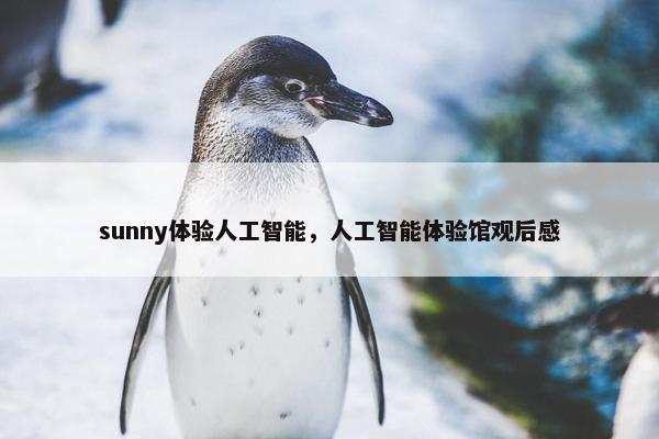sunny体验人工智能，人工智能体验馆观后感