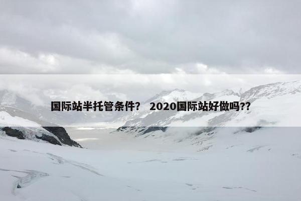 国际站半托管条件？ 2020国际站好做吗?？