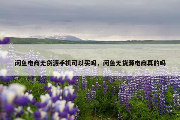 闲鱼电商无货源手机可以买吗，闲鱼无货源电商真的吗