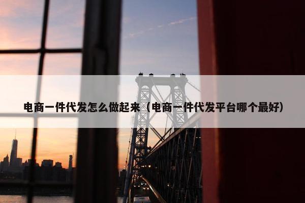 电商一件代发怎么做起来（电商一件代发平台哪个最好）