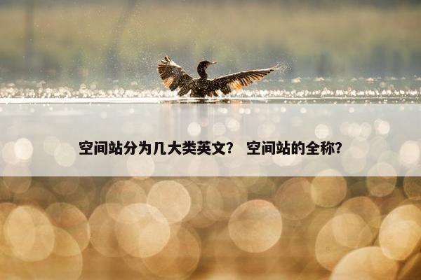 空间站分为几大类英文？ 空间站的全称？