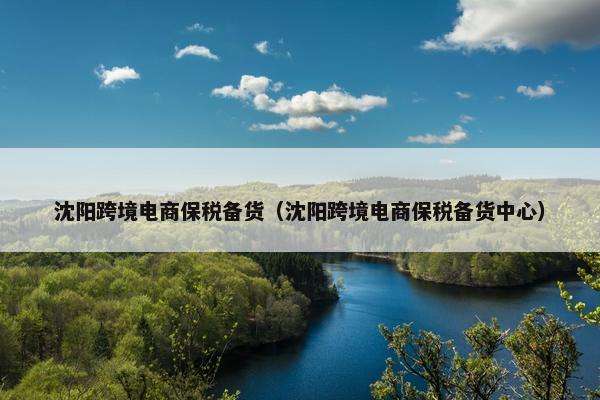 沈阳跨境电商保税备货（沈阳跨境电商保税备货中心）