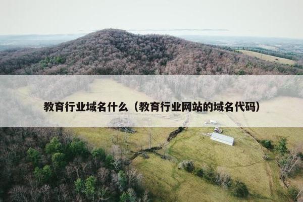 教育行业域名什么（教育行业网站的域名代码）