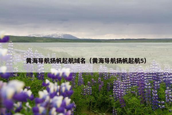 黄海导航扬帆起航域名（黄海导航扬帆起航5）