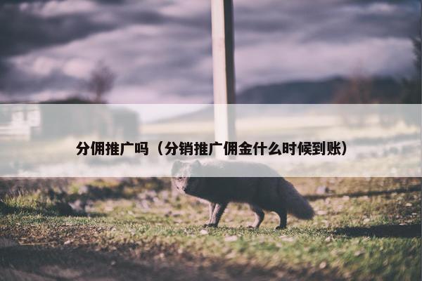 分佣推广吗（分销推广佣金什么时候到账）
