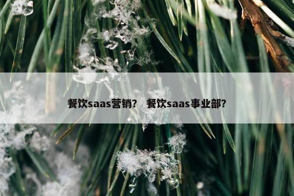 餐饮saas营销？ 餐饮saas事业部？