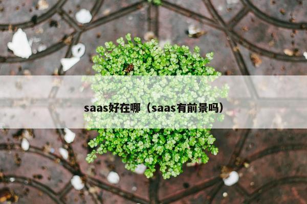 saas好在哪（saas有前景吗）