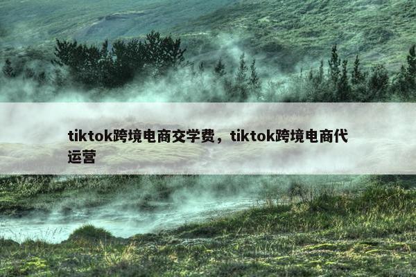 tiktok跨境电商交学费，tiktok跨境电商代运营