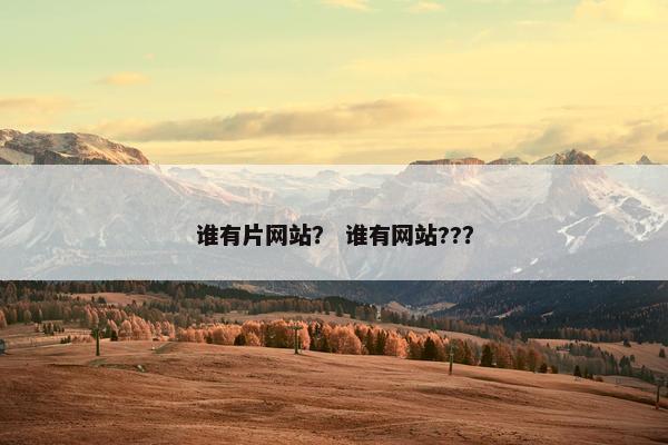 谁有片网站？ 谁有网站??？
