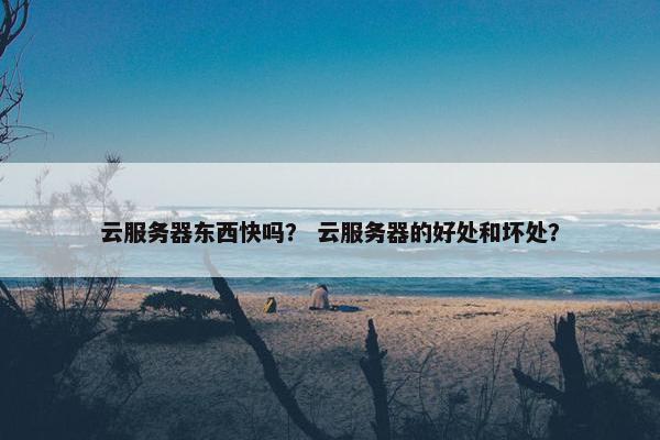 云服务器东西快吗？ 云服务器的好处和坏处？