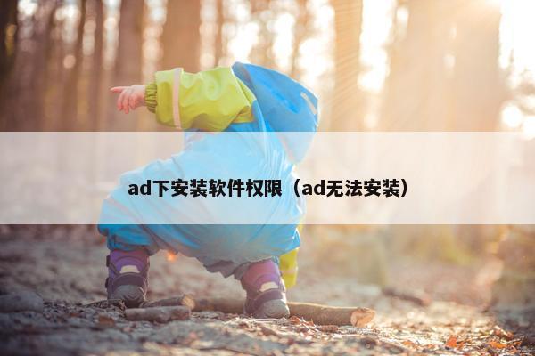 ad下安装软件权限（ad无法安装）