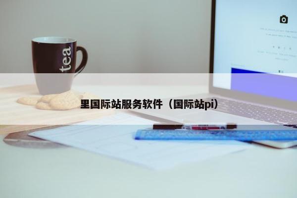 里国际站服务软件（国际站pi）