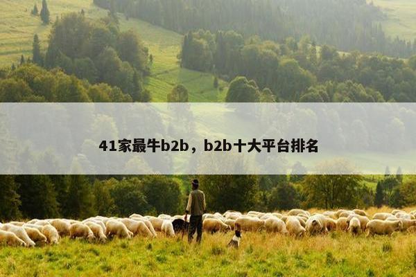 41家最牛b2b，b2b十大平台排名