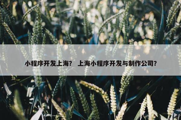 小程序开发上海？ 上海小程序开发与制作公司？