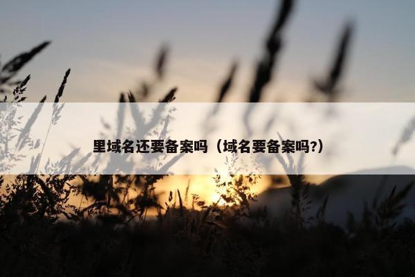 里域名还要备案吗（域名要备案吗?）