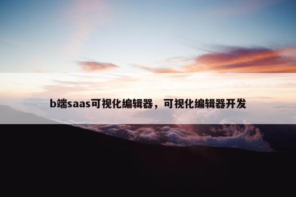 b端saas可视化编辑器，可视化编辑器开发