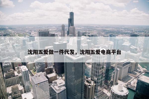 沈阳五爱做一件代发，沈阳五爱电商平台