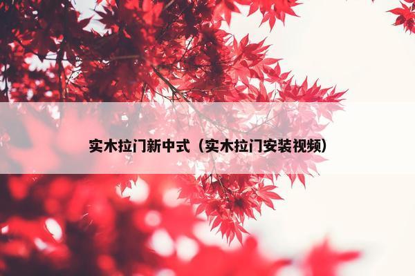 实木拉门新中式（实木拉门安装视频）