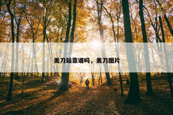美刀站靠谱吗，美刀图片