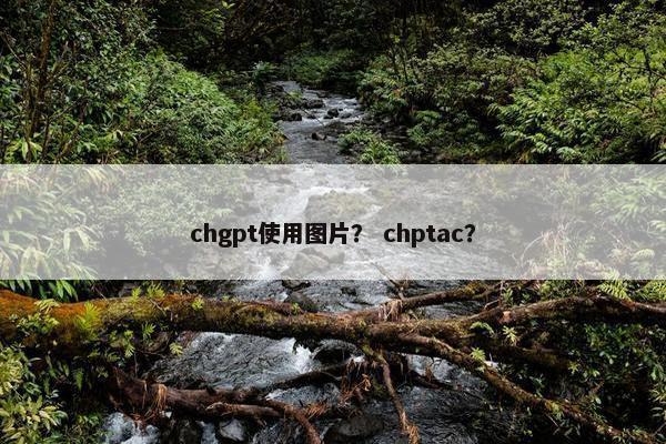 chgpt使用图片？ chptac？