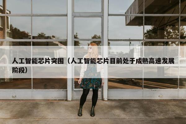 人工智能芯片突围（人工智能芯片目前处于成熟高速发展阶段）