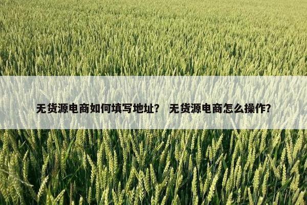 无货源电商如何填写地址？ 无货源电商怎么操作？