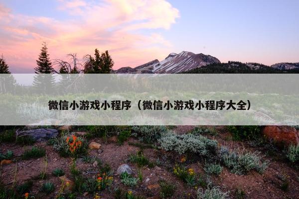 微信小游戏小程序（微信小游戏小程序大全）