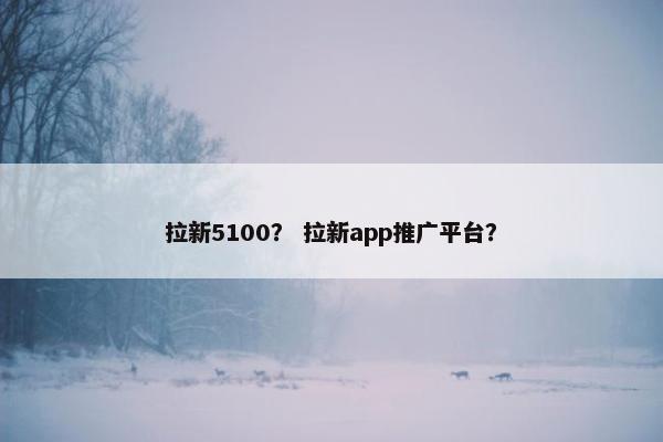 拉新5100？ 拉新app推广平台？