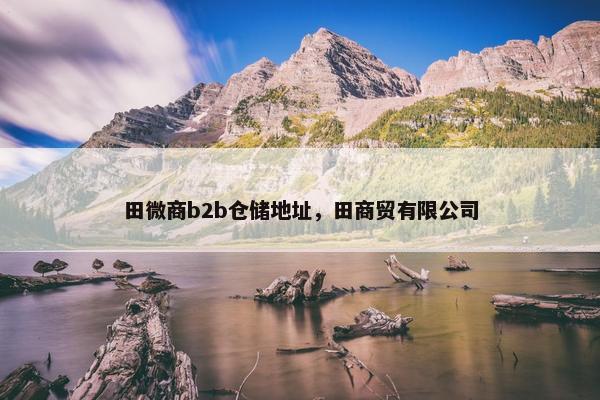 田微商b2b仓储地址，田商贸有限公司