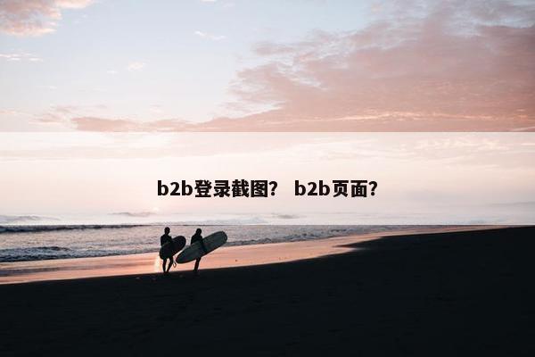 b2b登录截图？ b2b页面？