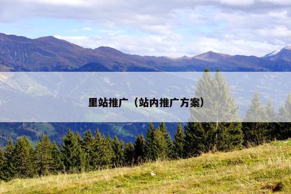 里站推广（站内推广方案）