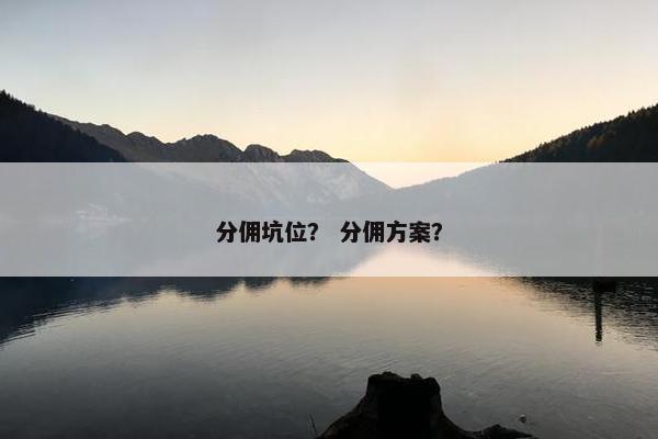 分佣坑位？ 分佣方案？