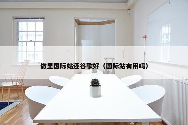 做里国际站还谷歌好（国际站有用吗）