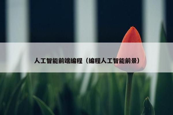 人工智能前端编程（编程人工智能前景）