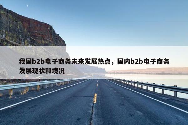 我国b2b电子商务未来发展热点，国内b2b电子商务发展现状和境况