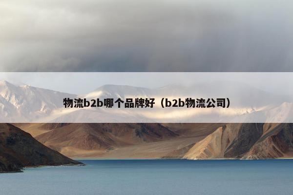 物流b2b哪个品牌好（b2b物流公司）