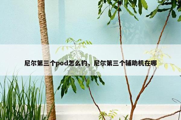 尼尔第三个pod怎么钓，尼尔第三个辅助机在哪
