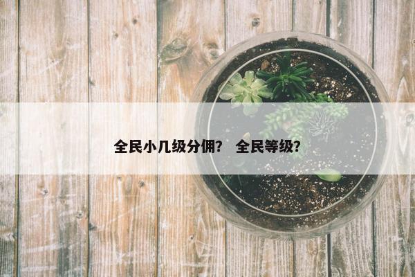 全民小几级分佣？ 全民等级？