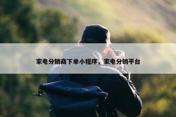 家电分销商下单小程序，家电分销平台