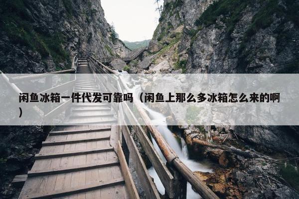 闲鱼冰箱一件代发可靠吗（闲鱼上那么多冰箱怎么来的啊）