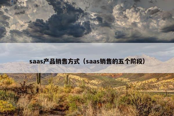 saas产品销售方式（saas销售的五个阶段）