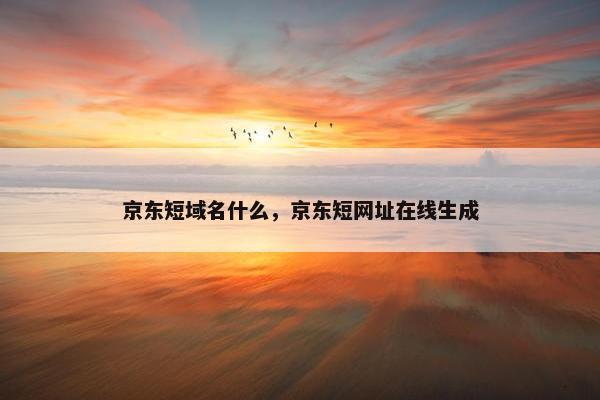 京东短域名什么，京东短网址在线生成