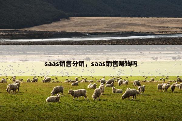 saas销售分销，saas销售赚钱吗