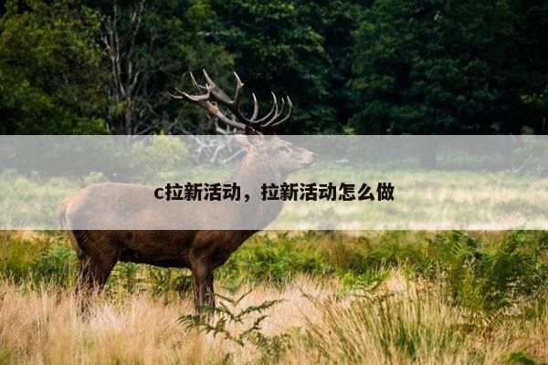 c拉新活动，拉新活动怎么做