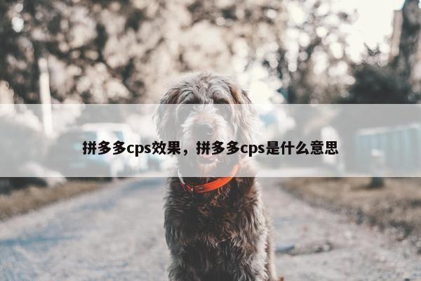 拼多多cps效果，拼多多cps是什么意思